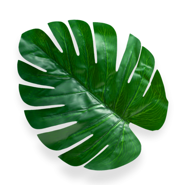 palm_leaf_wellness_retreat palm_leaf_wellness_retreat